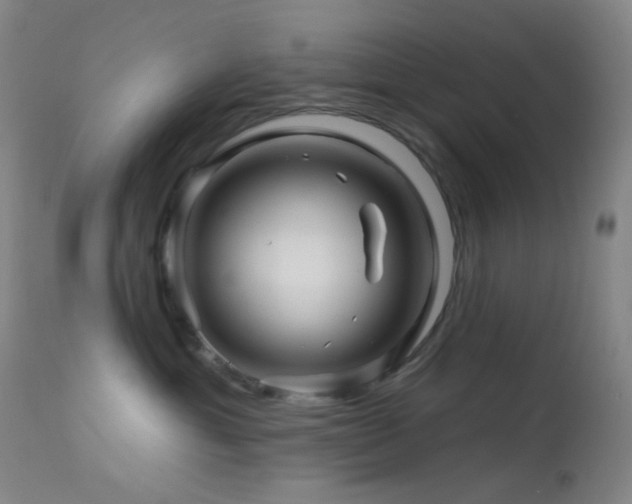X0000114210429200910091328