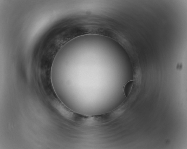 X0000114210430200910091328