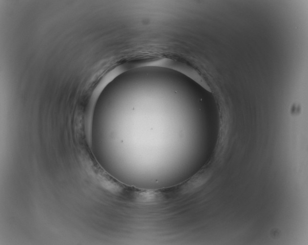 X0000114210432200910091328