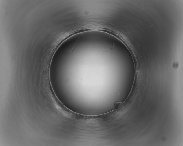 X0000114210433200910091327