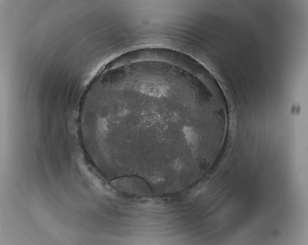 X0000114210434200910091327
