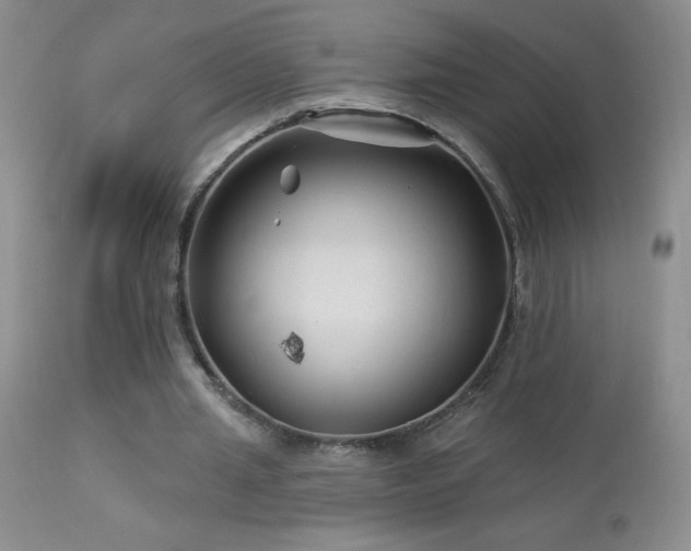 X0000114210437200910091327