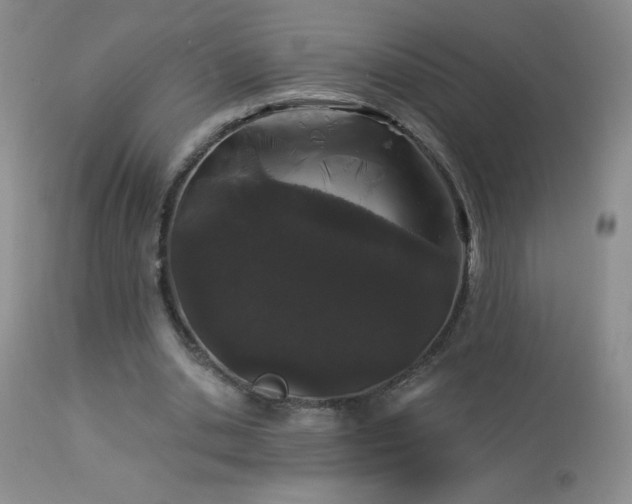 X0000114210438200910091327