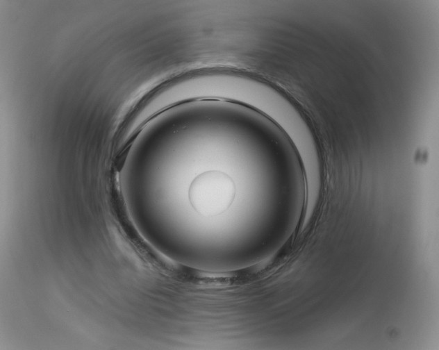 X0000114210440200910091327