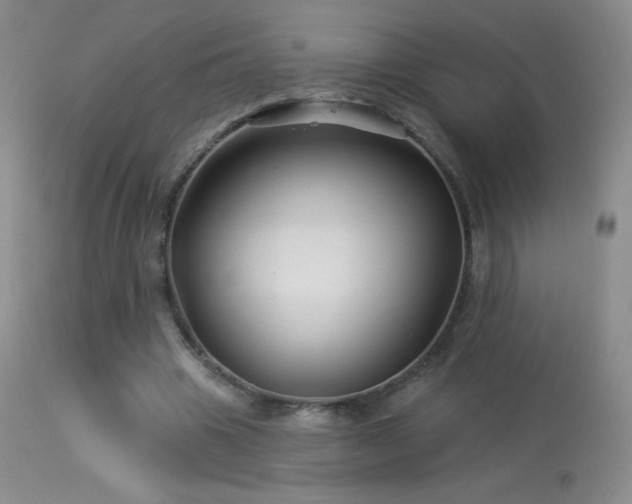 X0000114210441200910091327