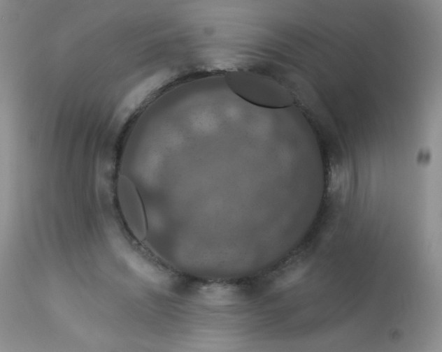 X0000114210444200910091327
