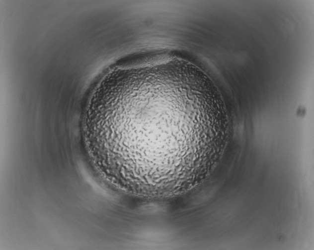 X0000114210447200910091327