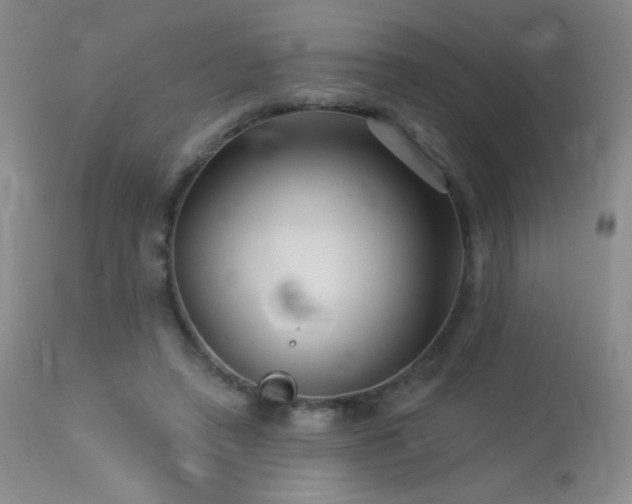 X0000114210450200910091328