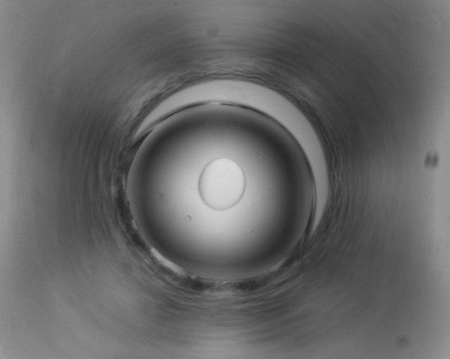 X0000114210452200910091328