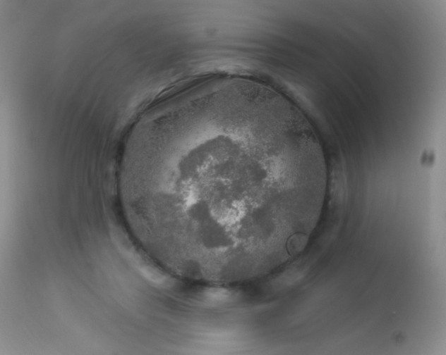 X0000114210453200910091328