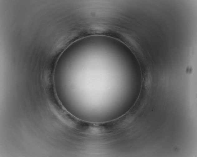 X0000114210455200910091328