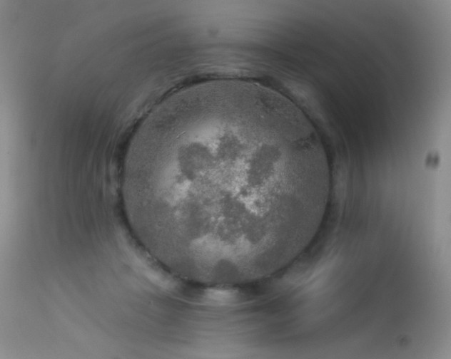 X0000114210457200910091328
