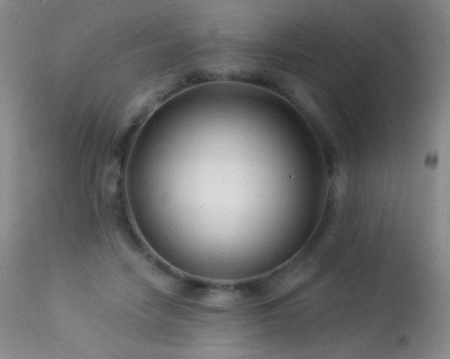 X0000114210458200910091328