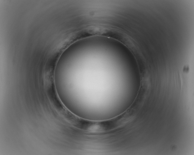 X0000114210460200910091328