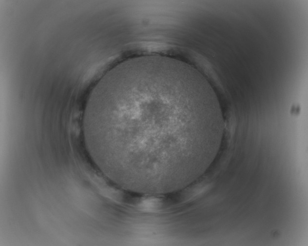 X0000114210462200910091328