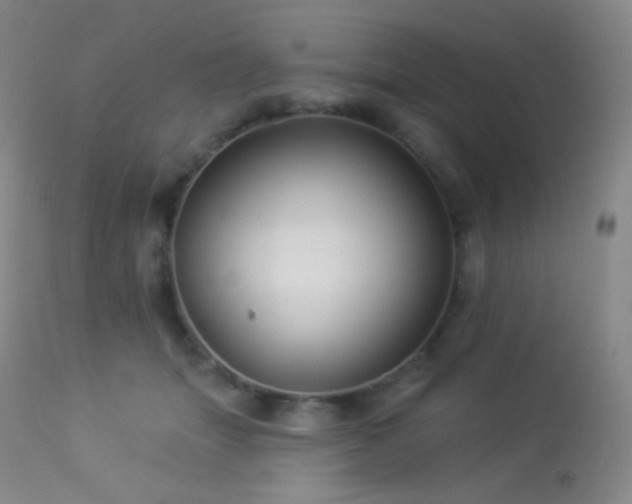 X0000114210463200910091328