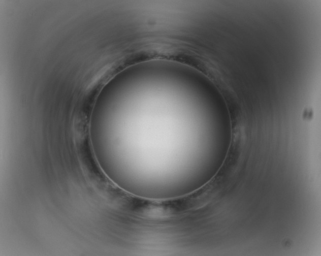 X0000114210464200910091328