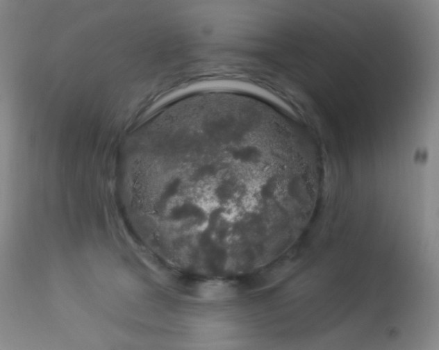 X0000114210465200910091328
