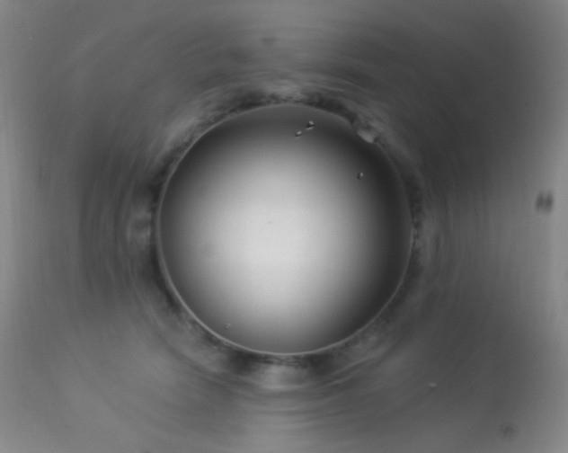 X0000114210466200910091328