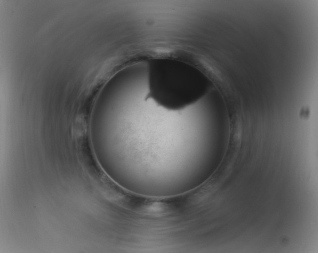 X0000114210467200910091328