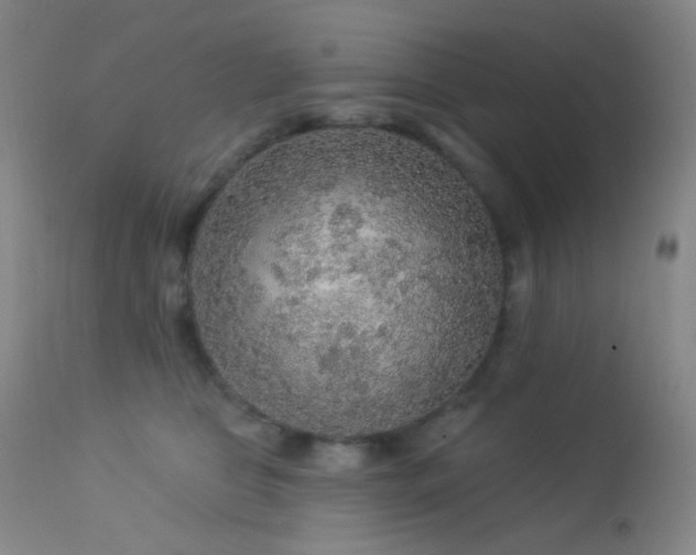 X0000114210469200910091328