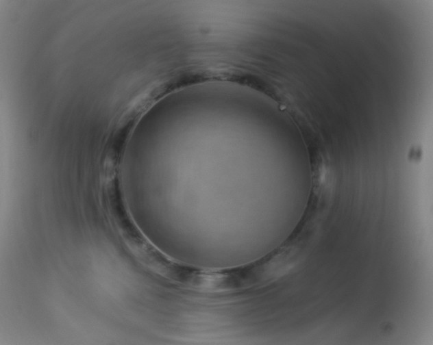 X0000114210472200910091328