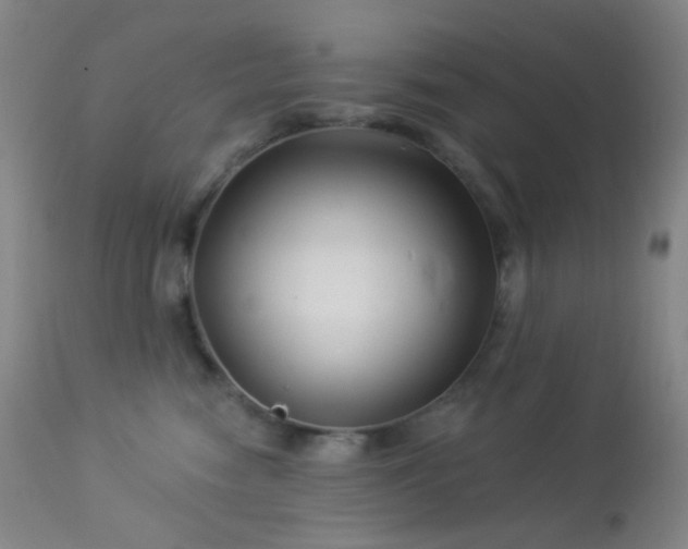 X0000114210474200910091328