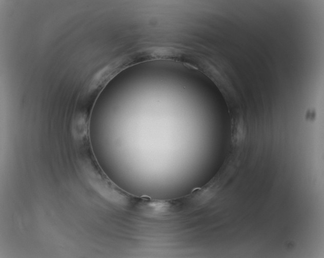 X0000114210478200910091328