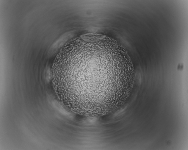 X0000114210479200910091328