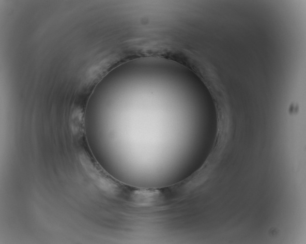 X0000114210480200910091328