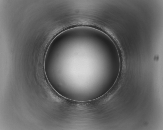 X0000114210481200910091327