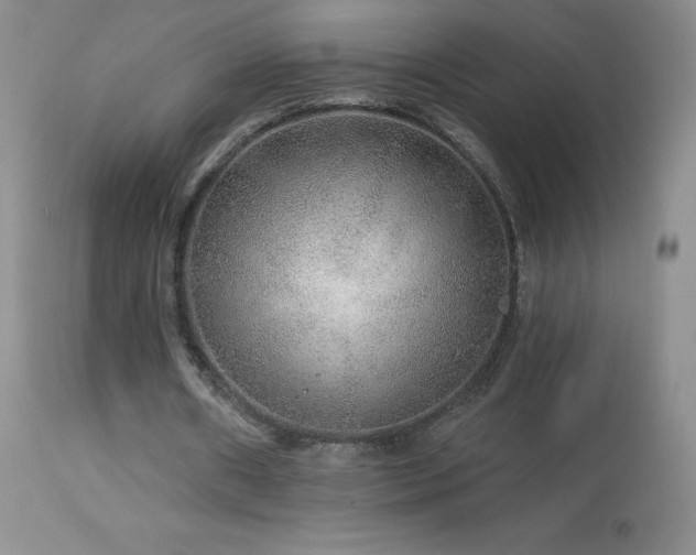 X0000114210482200910091327