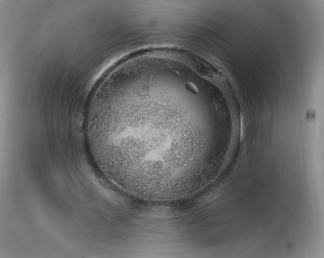 X0000114210483200910091327
