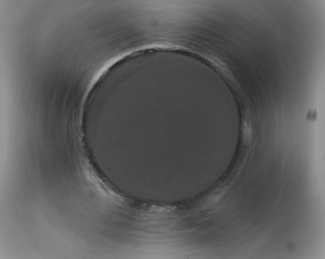 X0000114210484200910091327