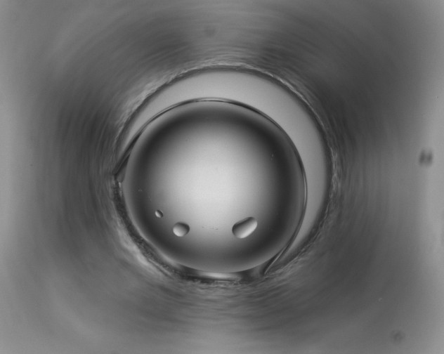 X0000114210485200910091327