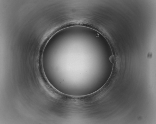 X0000114210486200910091327