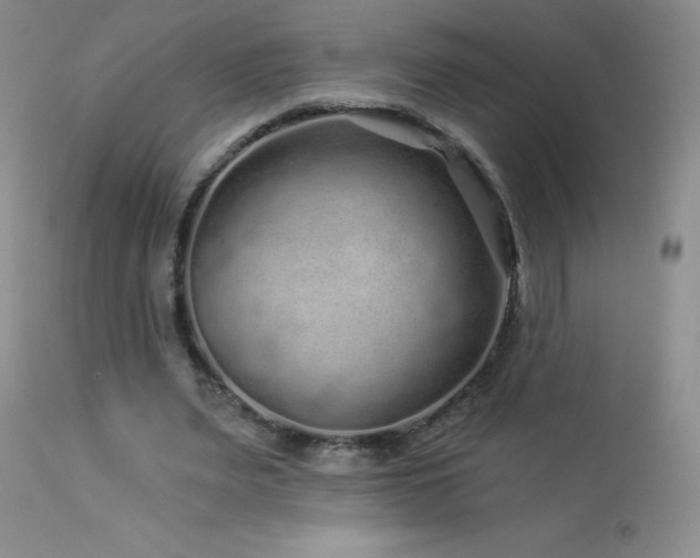 X0000114210487200910091327