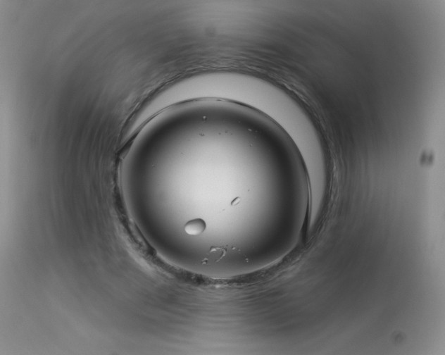 X0000114210489200910091327