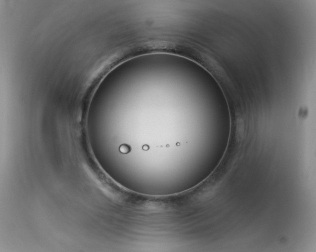 X0000114210490200910091327