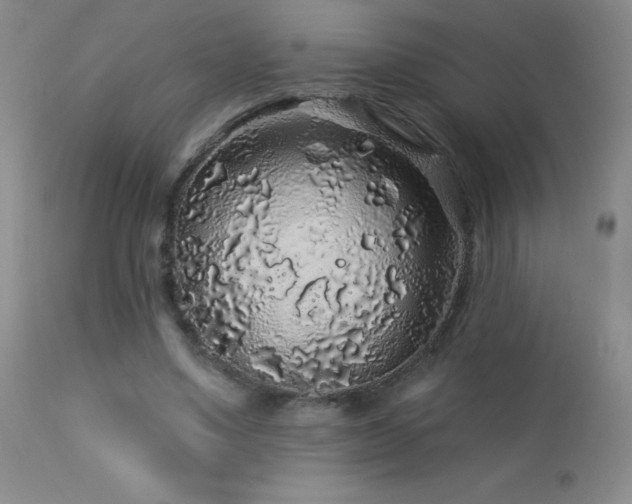 X0000114210491200910091327