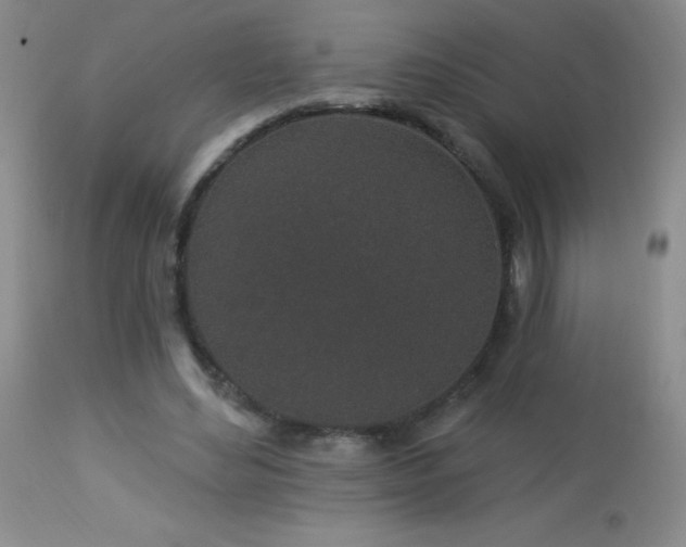 X0000114210492200910091327