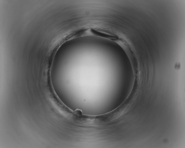 X0000114210493200910091327