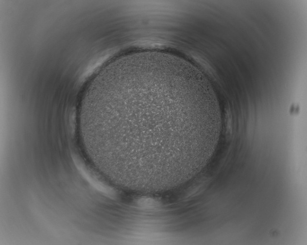 X0000114210494200910091327
