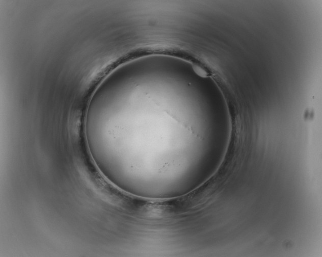 X0000114210495200910091327
