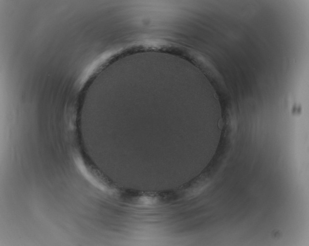 X0000114210496200910091327