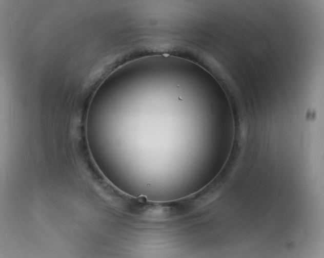 X0000114210497200910091327