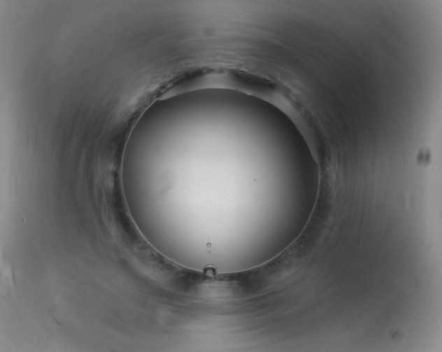X0000114210499200910091327