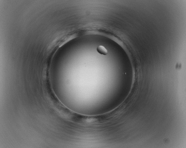 X0000114210501200910091327