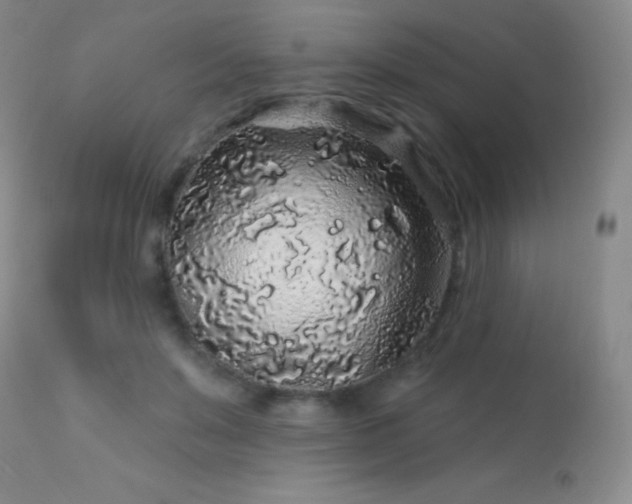 X0000114210503200910091327