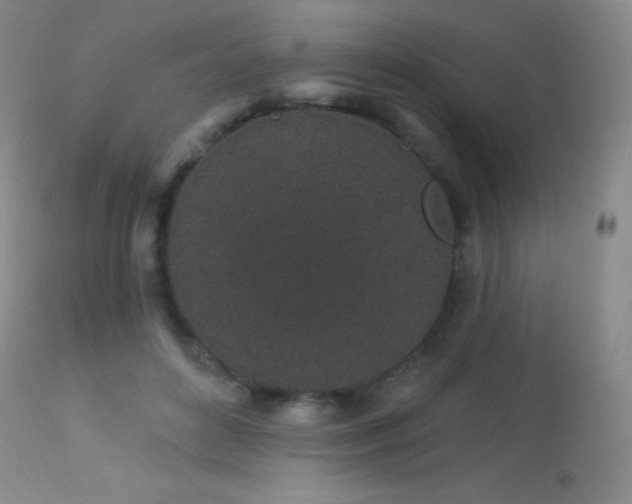 X0000114210504200910091327